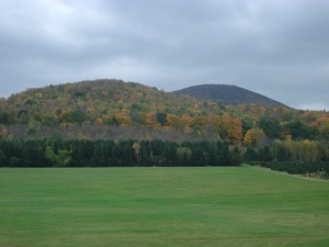 uitgestrekt groen | Green Mountains